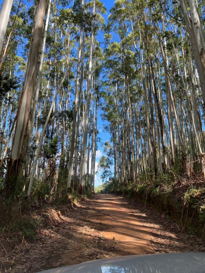 Pousada Pedra Da Mata Chales Na Montanha Munhoz ภายนอก รูปภาพ